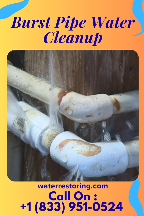 Burst Pipe Water Cleanup in Kalaeloa, HI