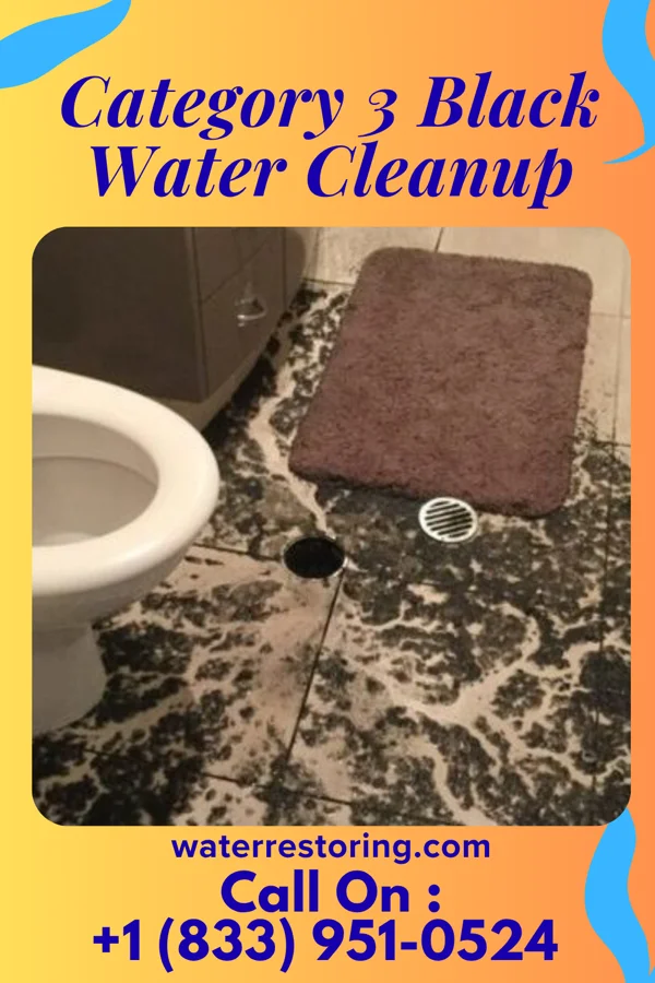 Category 3 Black Water Cleanup in Kalaeloa, HI