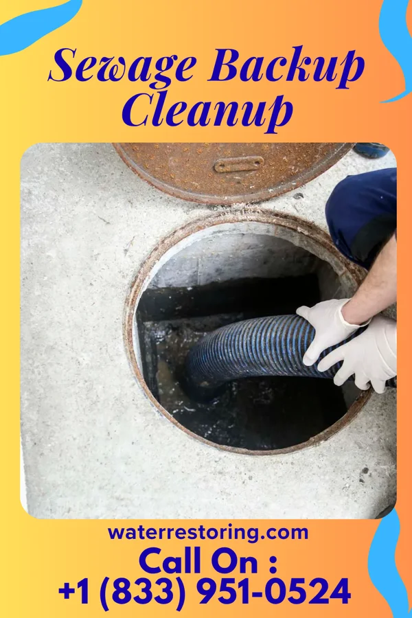 Sewage Backup Cleanup in Kalaeloa, HI
