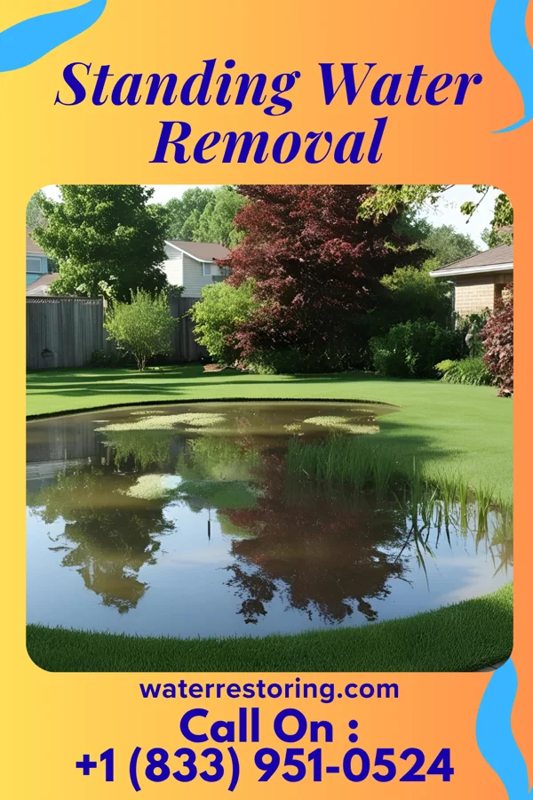 Standing Water Removal in Kalaeloa, HI